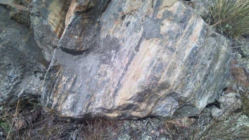 Гигантские зелёные валуны для ландшафтного дизайна весом более 5 тонн купить в Кировской области