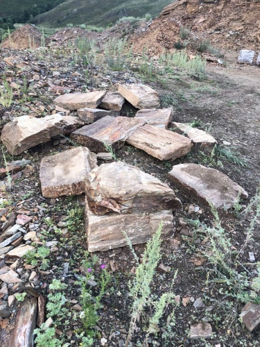 Пошаговая дорожка из плит златолит кора дерева купить в Кировской области